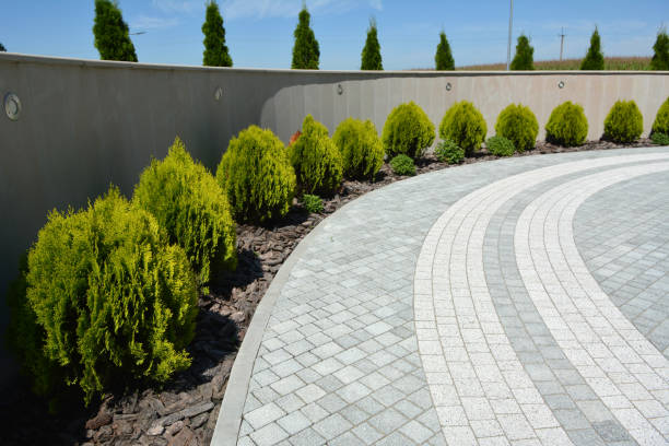 Best Professional Driveway Pavers  in Fredonia, NY